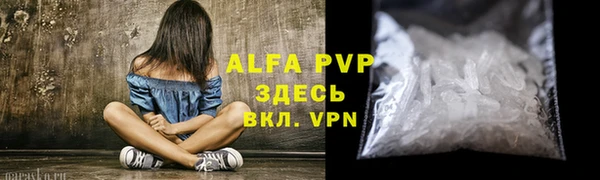 молекула духа Щигры