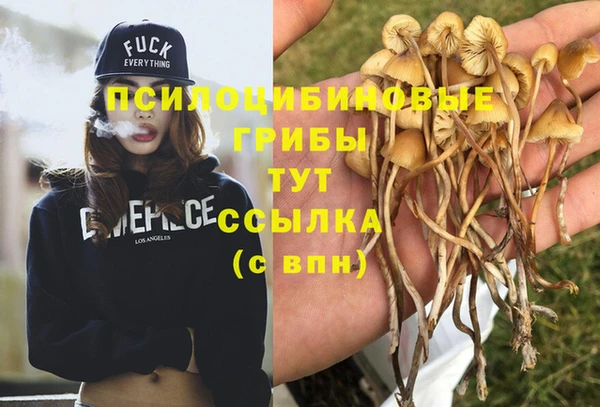 мдма Медногорск