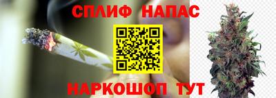 Альфа ПВП Лесосибирск