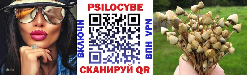 купить наркотик  Самара  Галлюциногенные грибы мицелий 